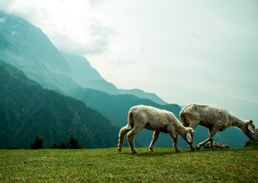 traveldilse-Stunning Himachal